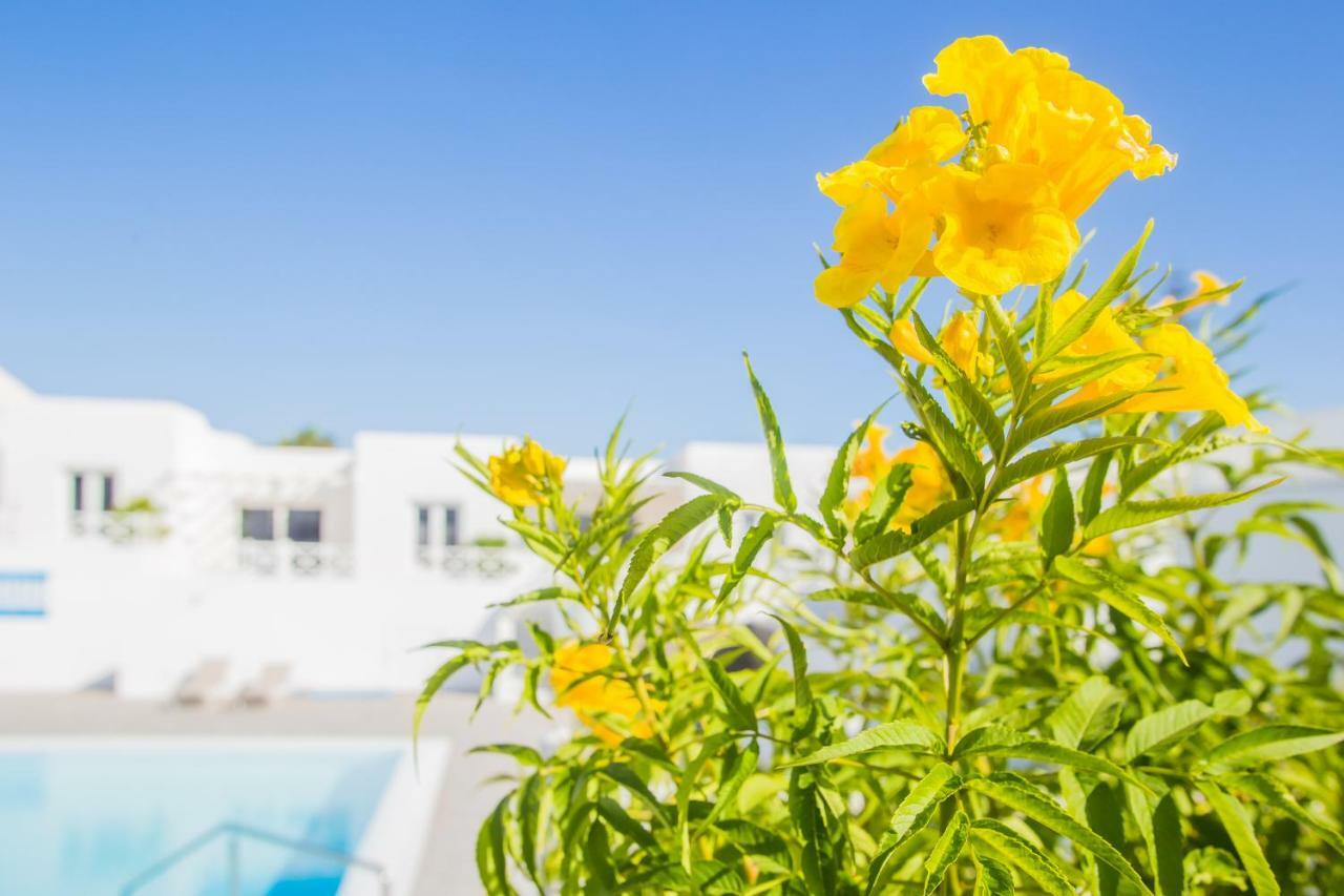 Flower Beach Suite 6 Playa Honda  Eksteriør billede